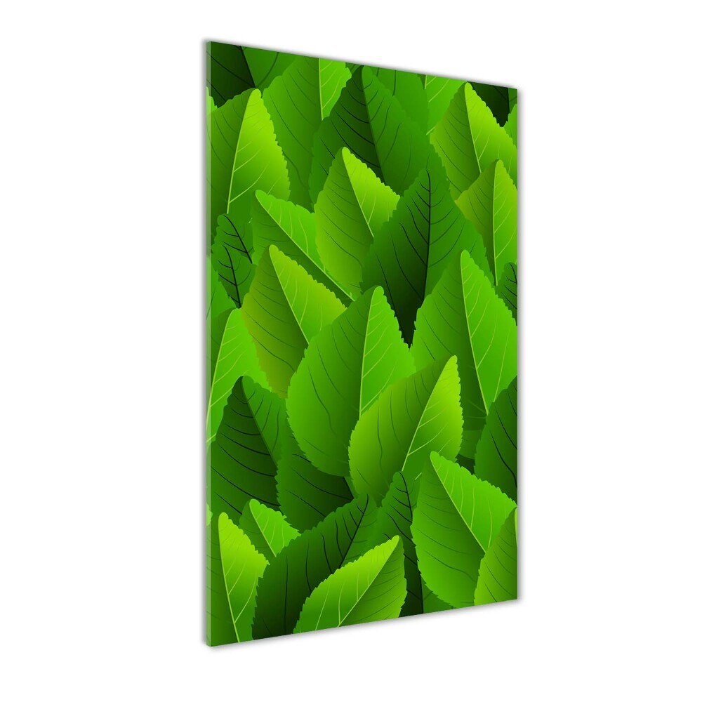 Acrylic glass print Green leaves