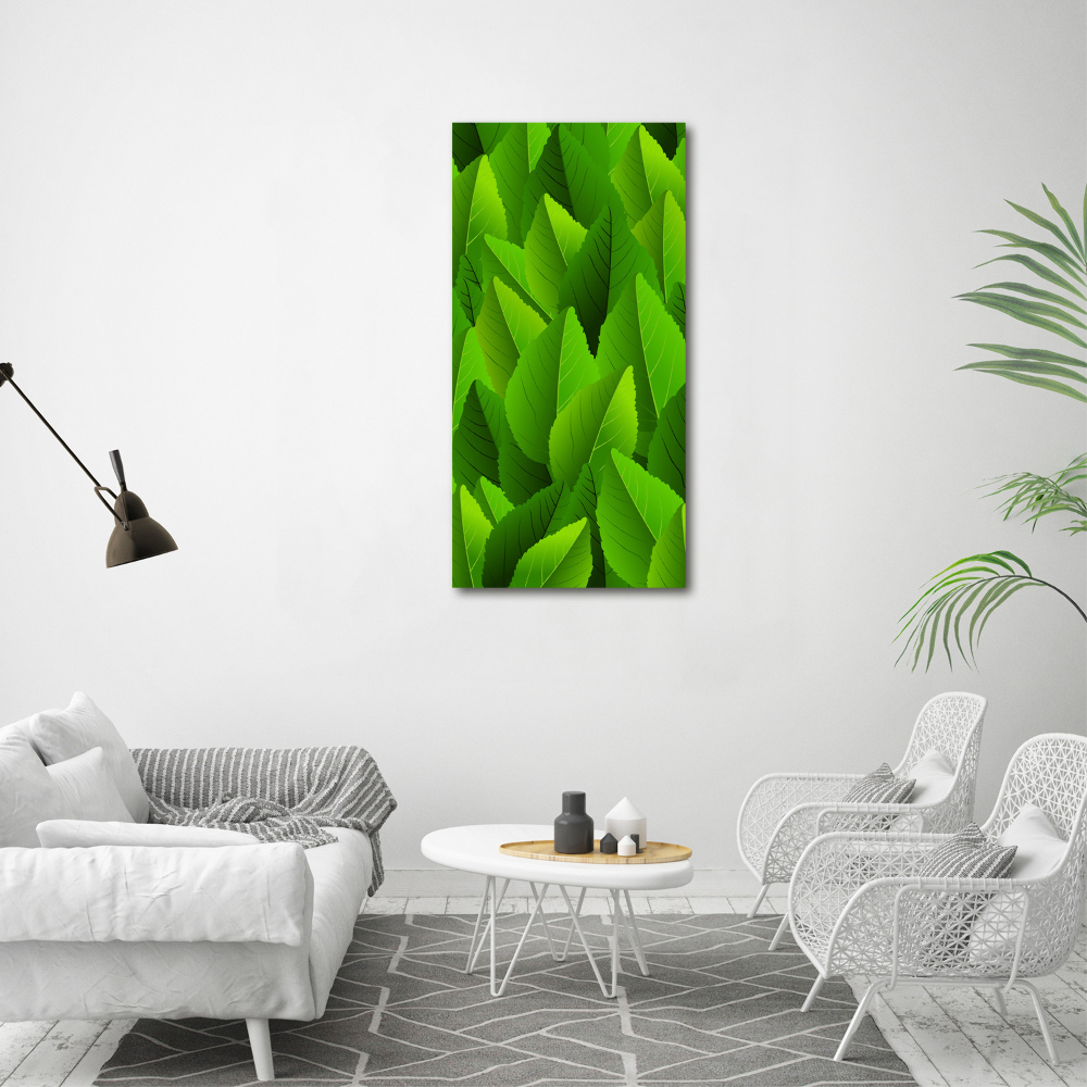 Acrylic glass print Green leaves