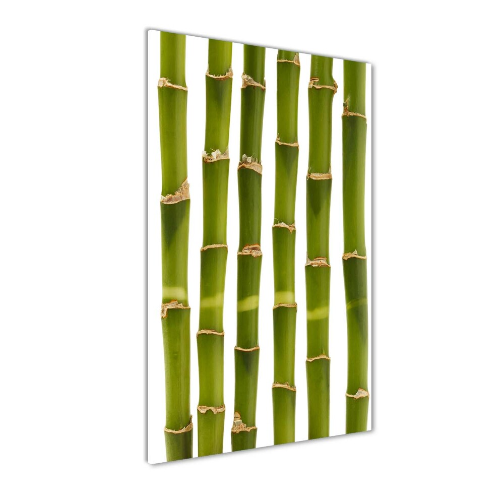 Acrylic glass print Bamboo