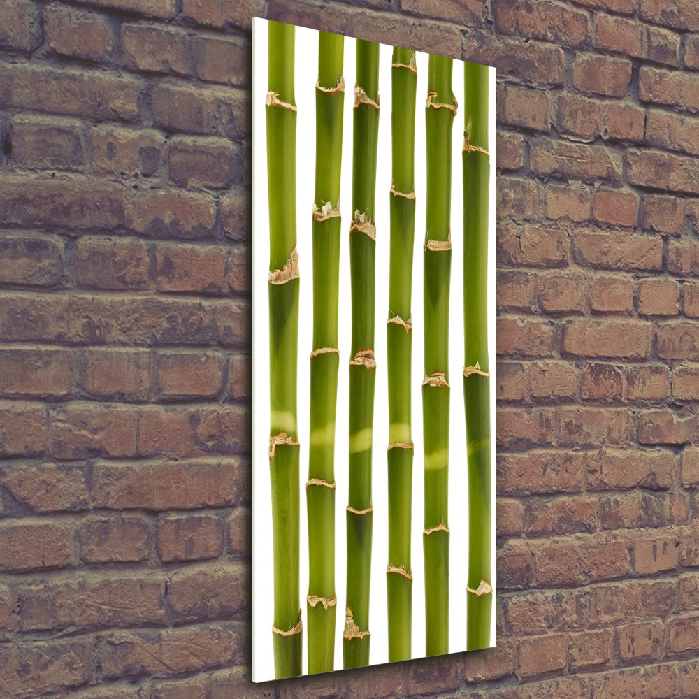 Acrylic glass print Bamboo