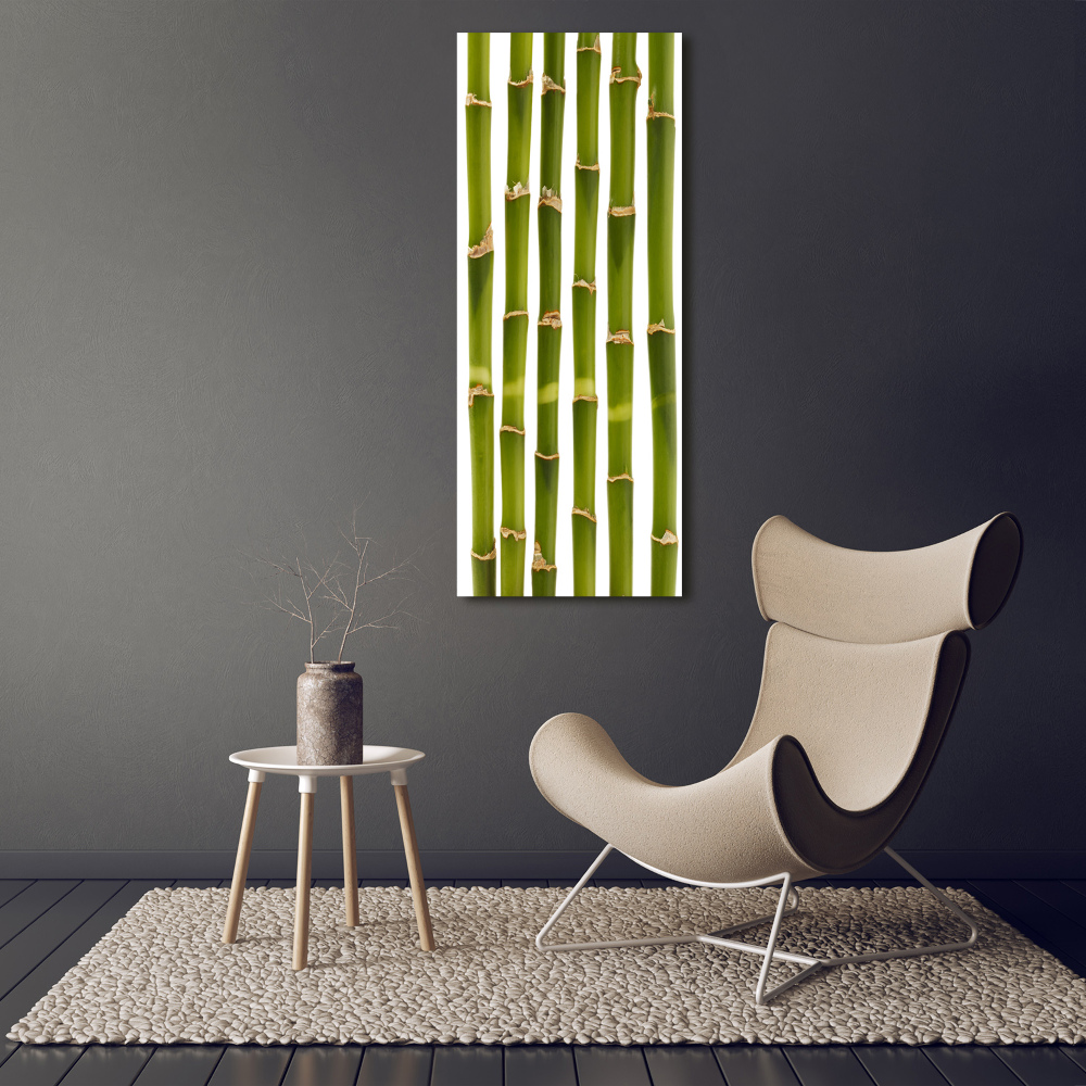 Acrylic glass print Bamboo