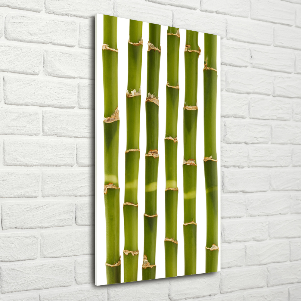 Acrylic glass print Bamboo