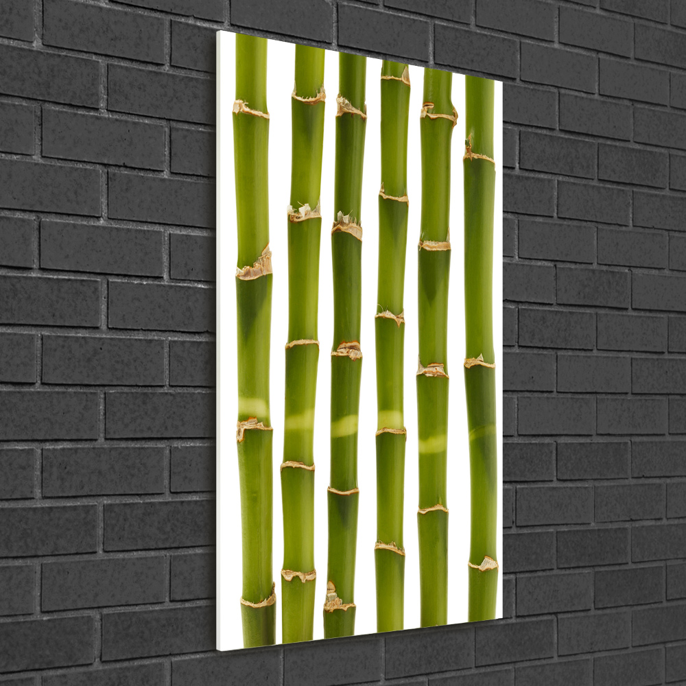 Acrylic glass print Bamboo