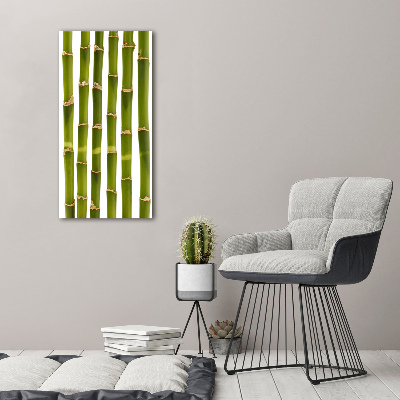 Acrylic glass print Bamboo