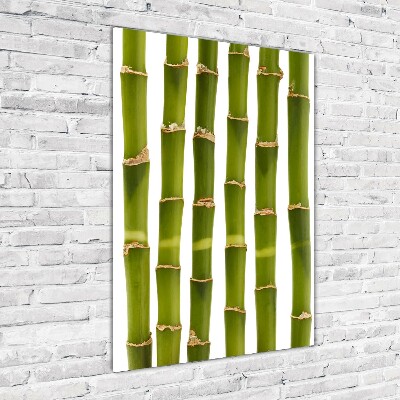 Acrylic glass print Bamboo