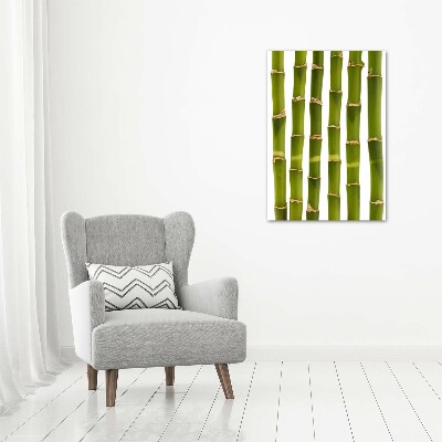 Acrylic glass print Bamboo