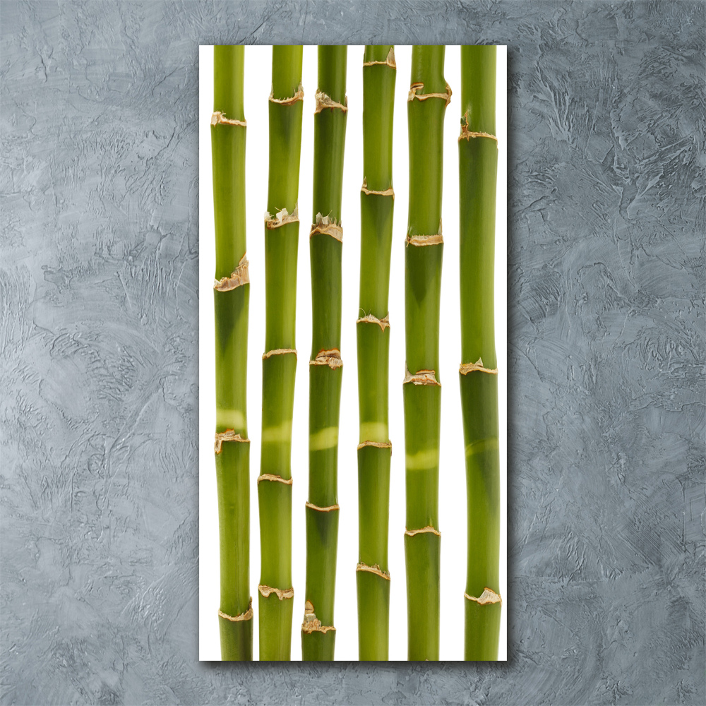 Acrylic glass print Bamboo