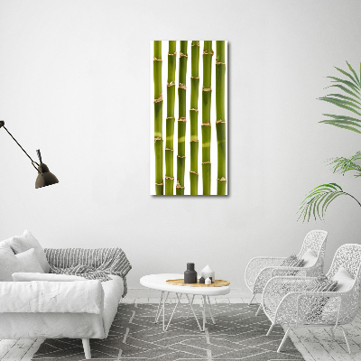 Acrylic glass print Bamboo