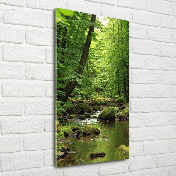 Print on acrylic River in the forest