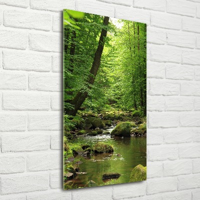 Print on acrylic River in the forest