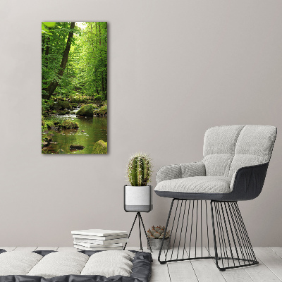 Print on acrylic River in the forest