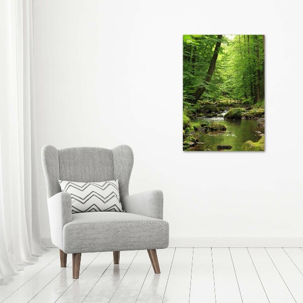 Print on acrylic River in the forest