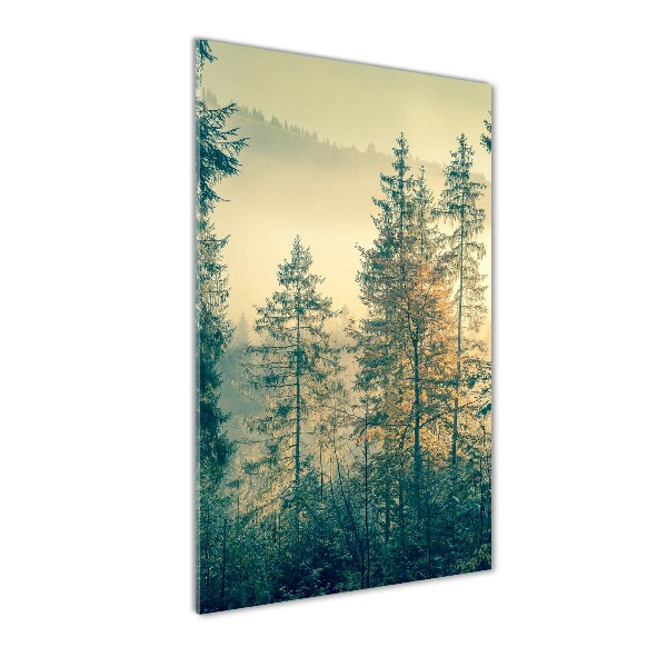 Print on acrylic Fog over the forest