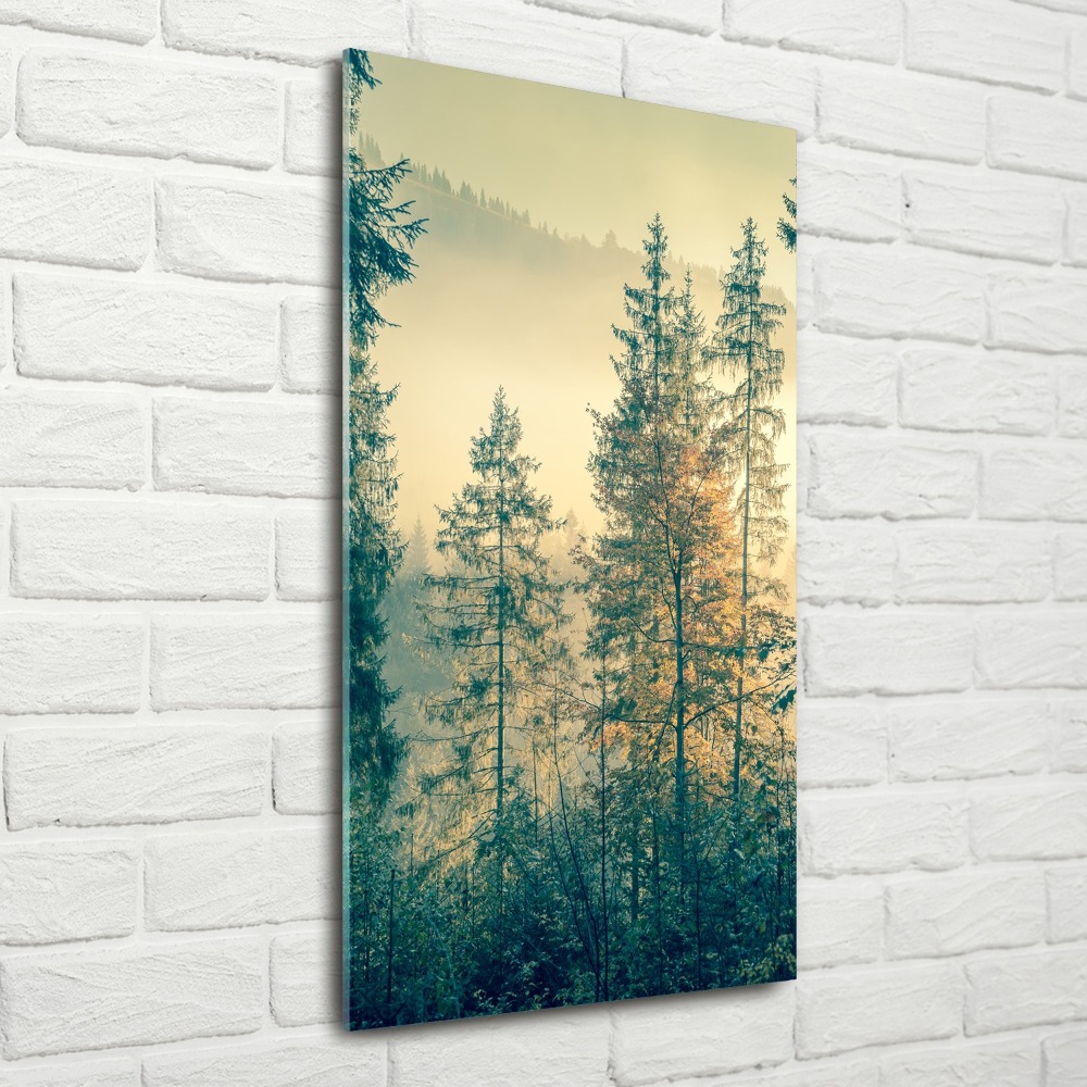 Print on acrylic Fog over the forest