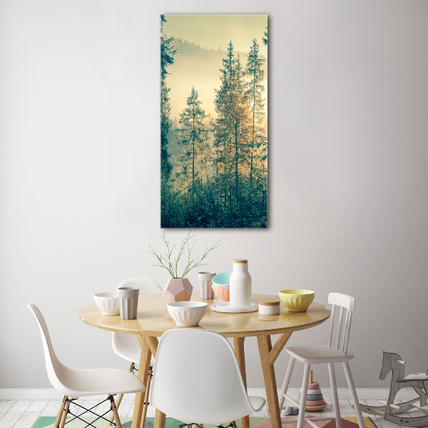 Print on acrylic Fog over the forest