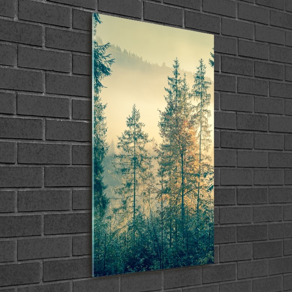 Print on acrylic Fog over the forest