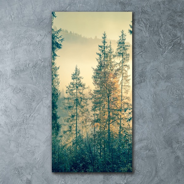 Print on acrylic Fog over the forest