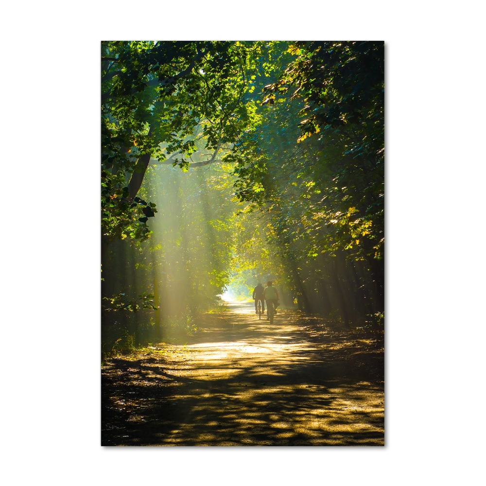 Print on acrylic Path in the forest