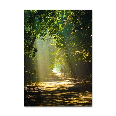 Print on acrylic Path in the forest