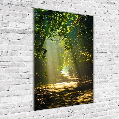 Print on acrylic Path in the forest