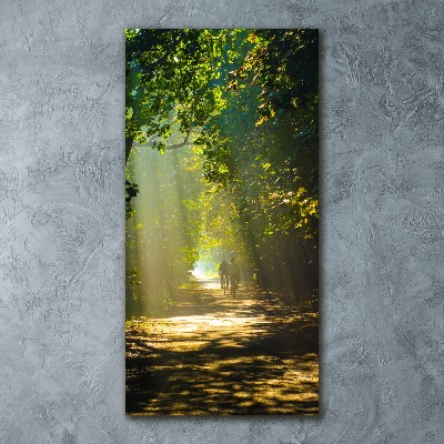 Print on acrylic Path in the forest