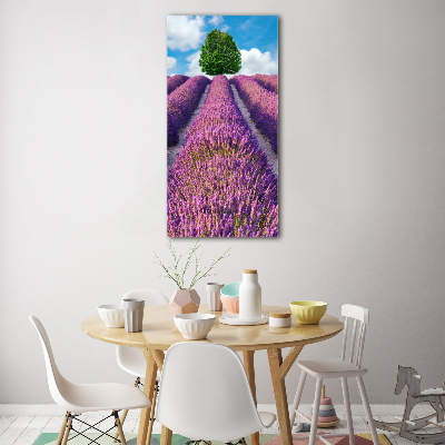 Print on acrylic Lavender field