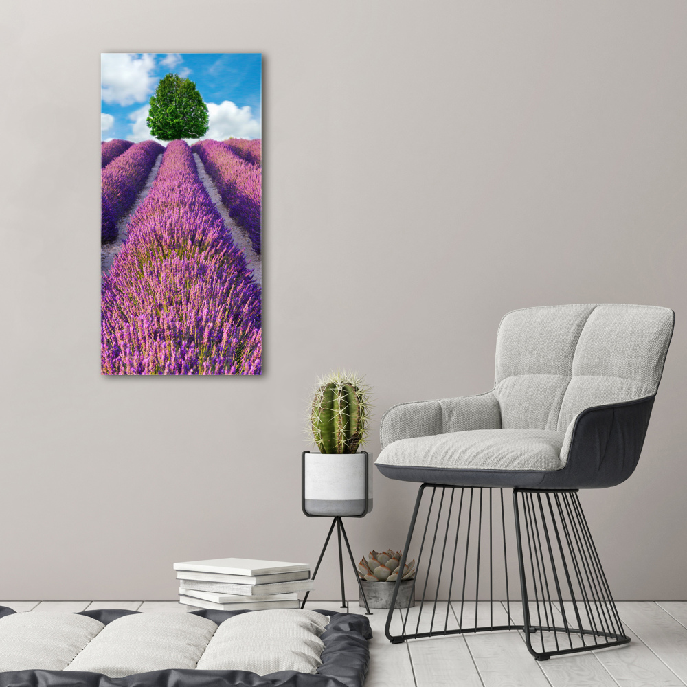 Print on acrylic Lavender field