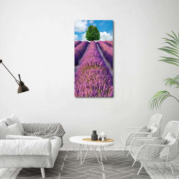 Print on acrylic Lavender field