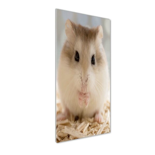 Acrylic wall art Hamster