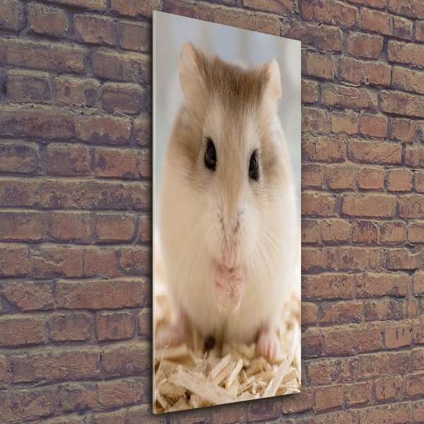 Acrylic wall art Hamster