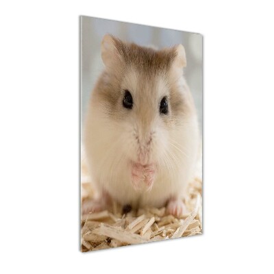 Acrylic wall art Hamster