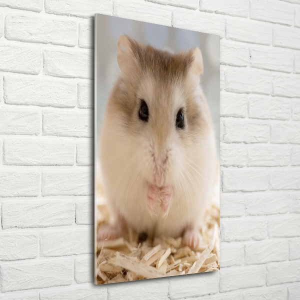 Acrylic wall art Hamster