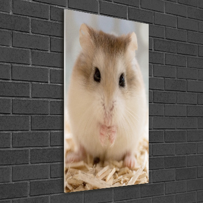 Acrylic wall art Hamster