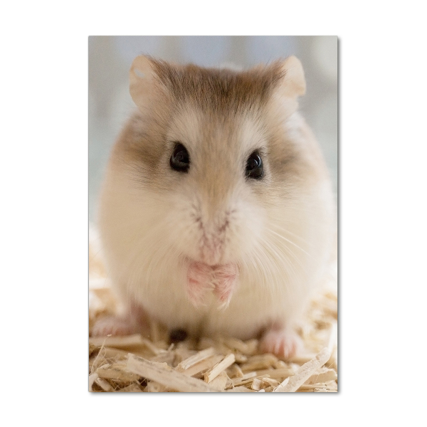 Acrylic wall art Hamster