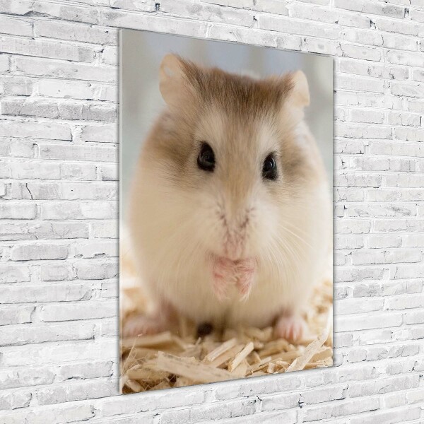 Acrylic wall art Hamster