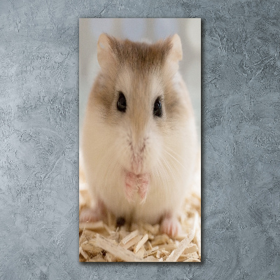 Acrylic wall art Hamster