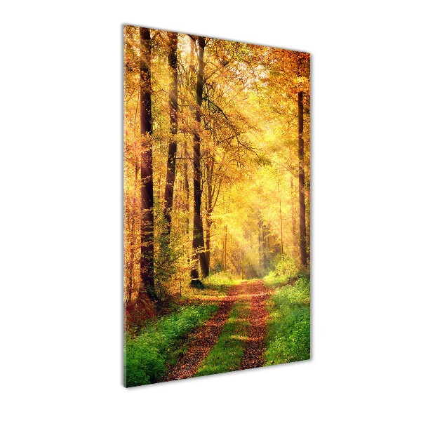 Forest in autumn