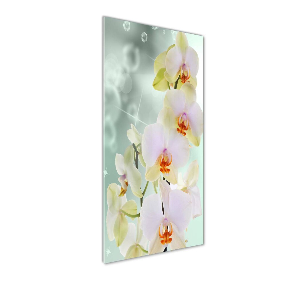 Print on acrylic glass Orchid