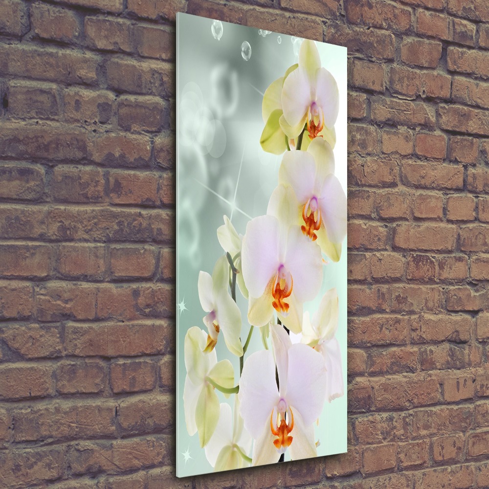 Print on acrylic glass Orchid