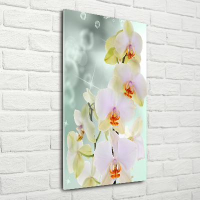 Print on acrylic glass Orchid