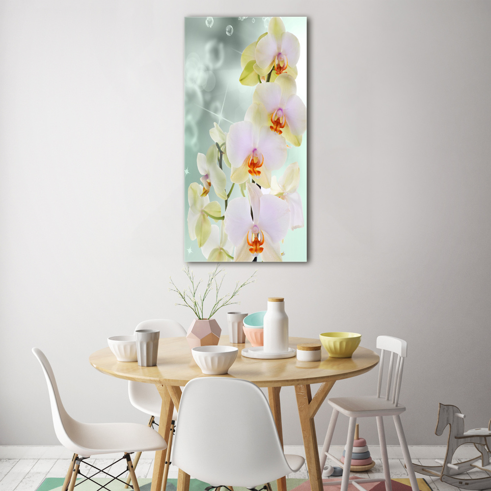 Print on acrylic glass Orchid