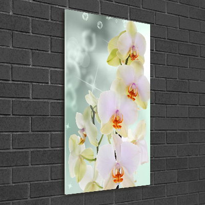 Print on acrylic glass Orchid