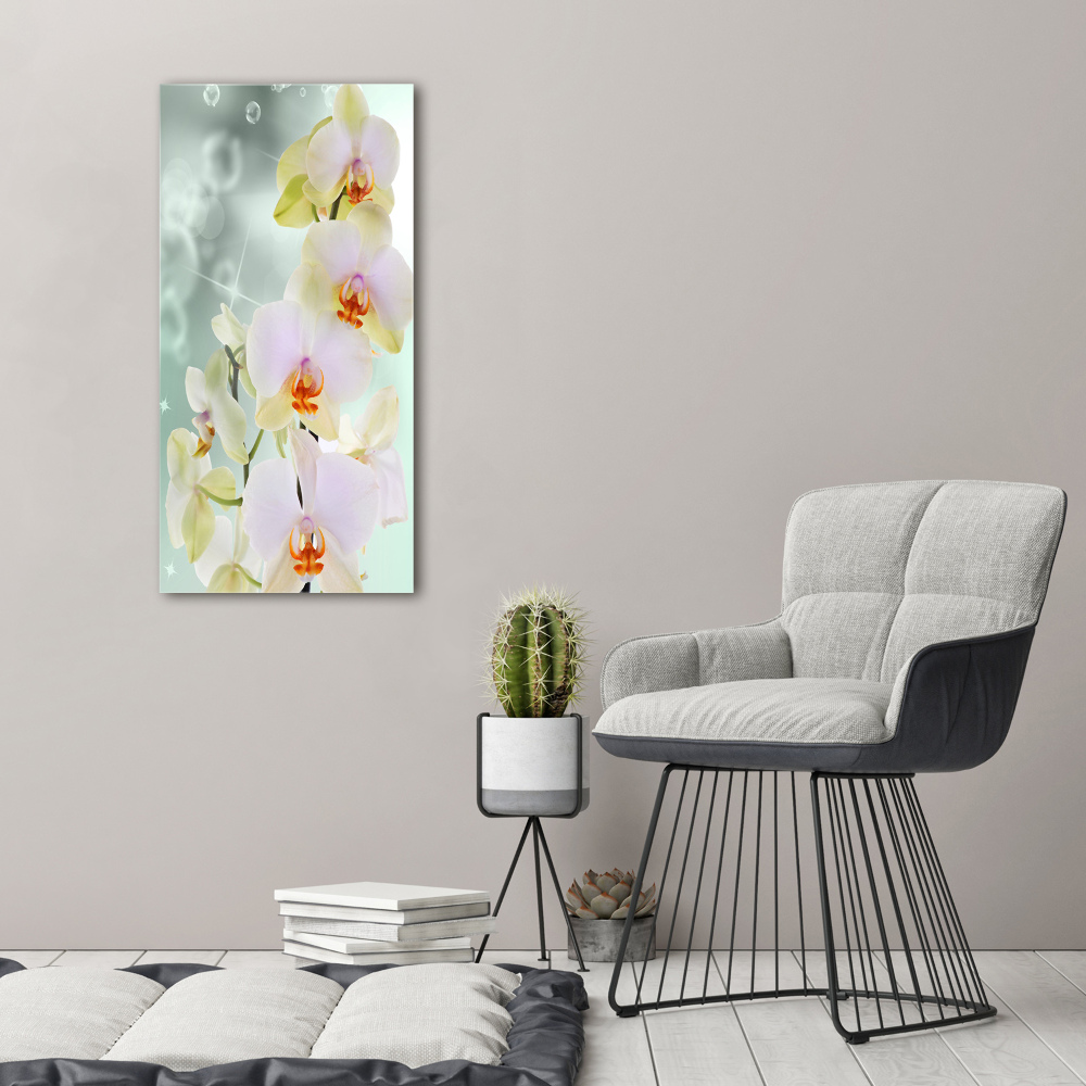 Print on acrylic glass Orchid