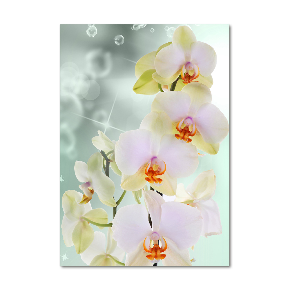 Print on acrylic glass Orchid