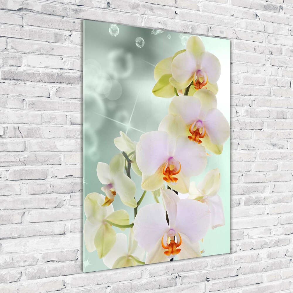 Print on acrylic glass Orchid