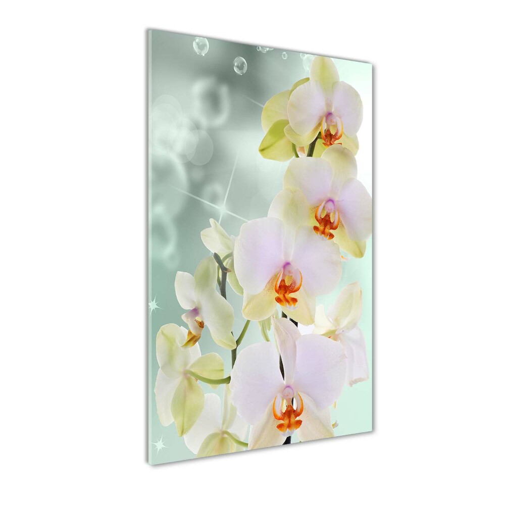 Print on acrylic glass Orchid