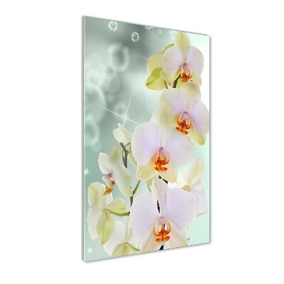 Print on acrylic glass Orchid