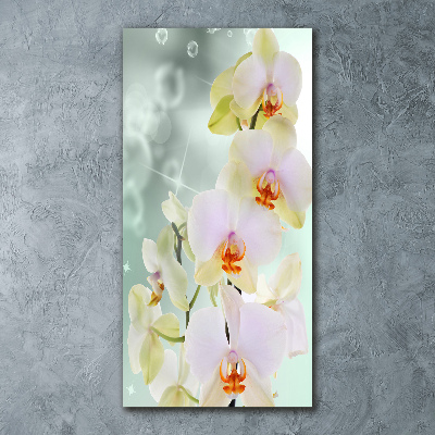 Print on acrylic glass Orchid