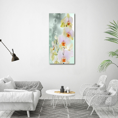 Print on acrylic glass Orchid