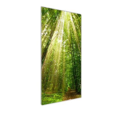 Wall art acrylic Path in the forest